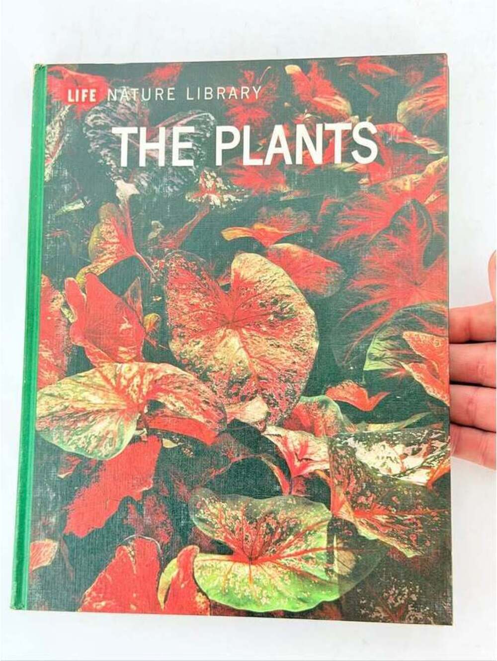 Vintage 1963 Life Nature Library The Plants Hardcover Book